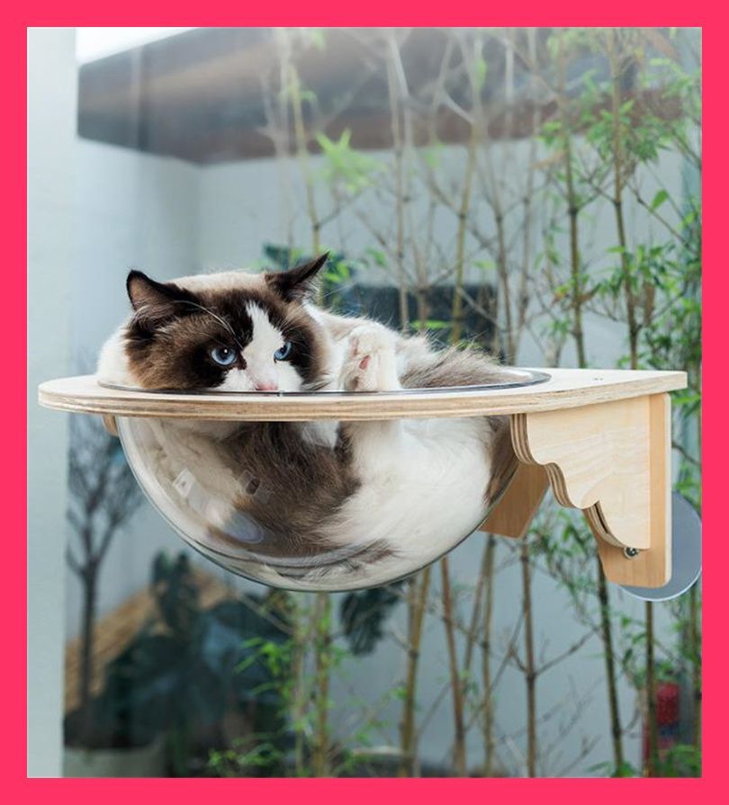 こだわり