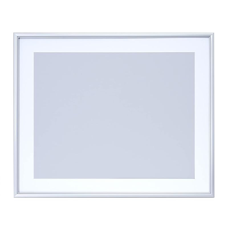 FUJICOLOR アルミ額縁 A32 全紙 シルバー 306679