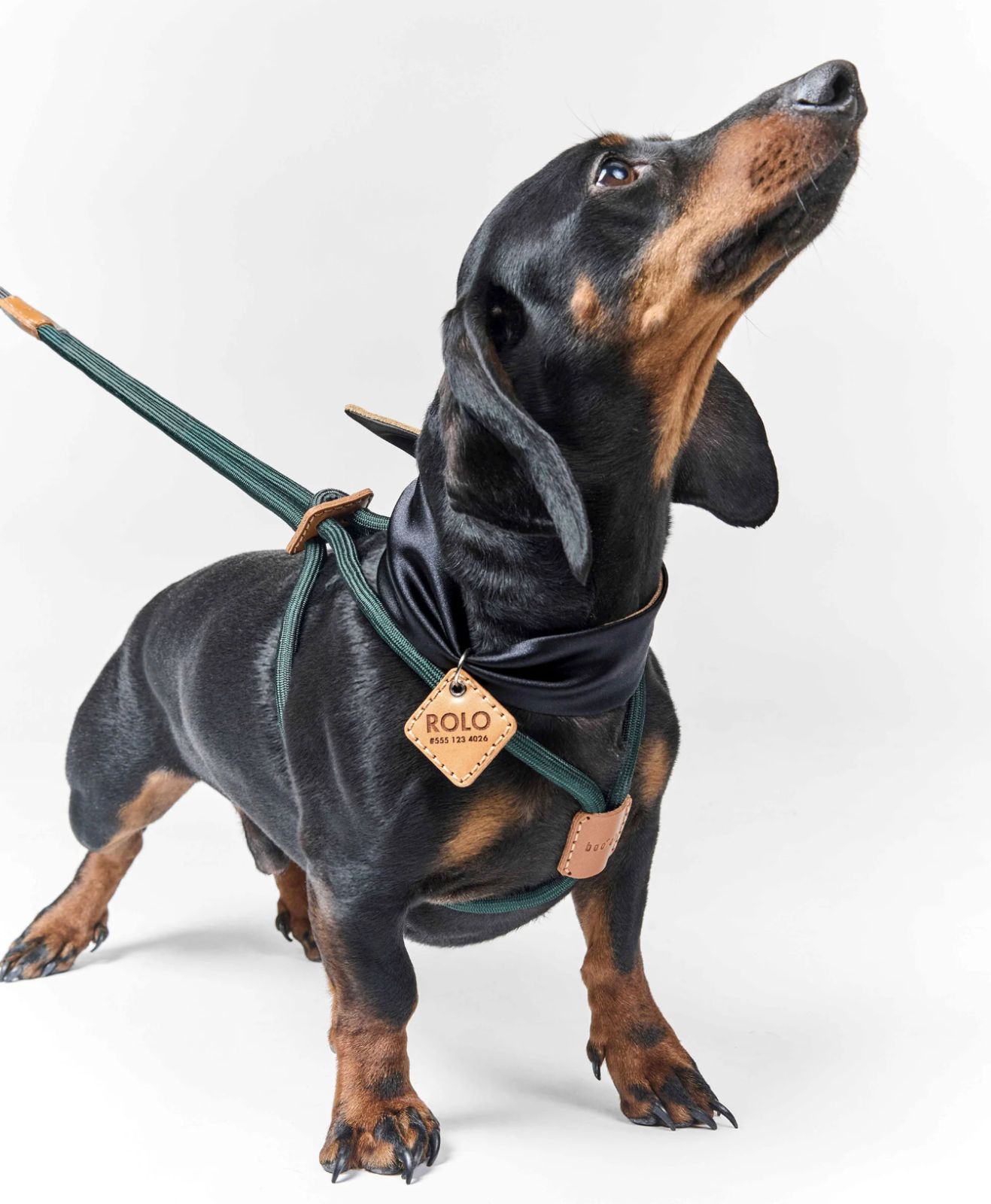 新品未使用 Boo'oh｜Ray Harness｜ダークグリーン 【Sサイズ】/【M