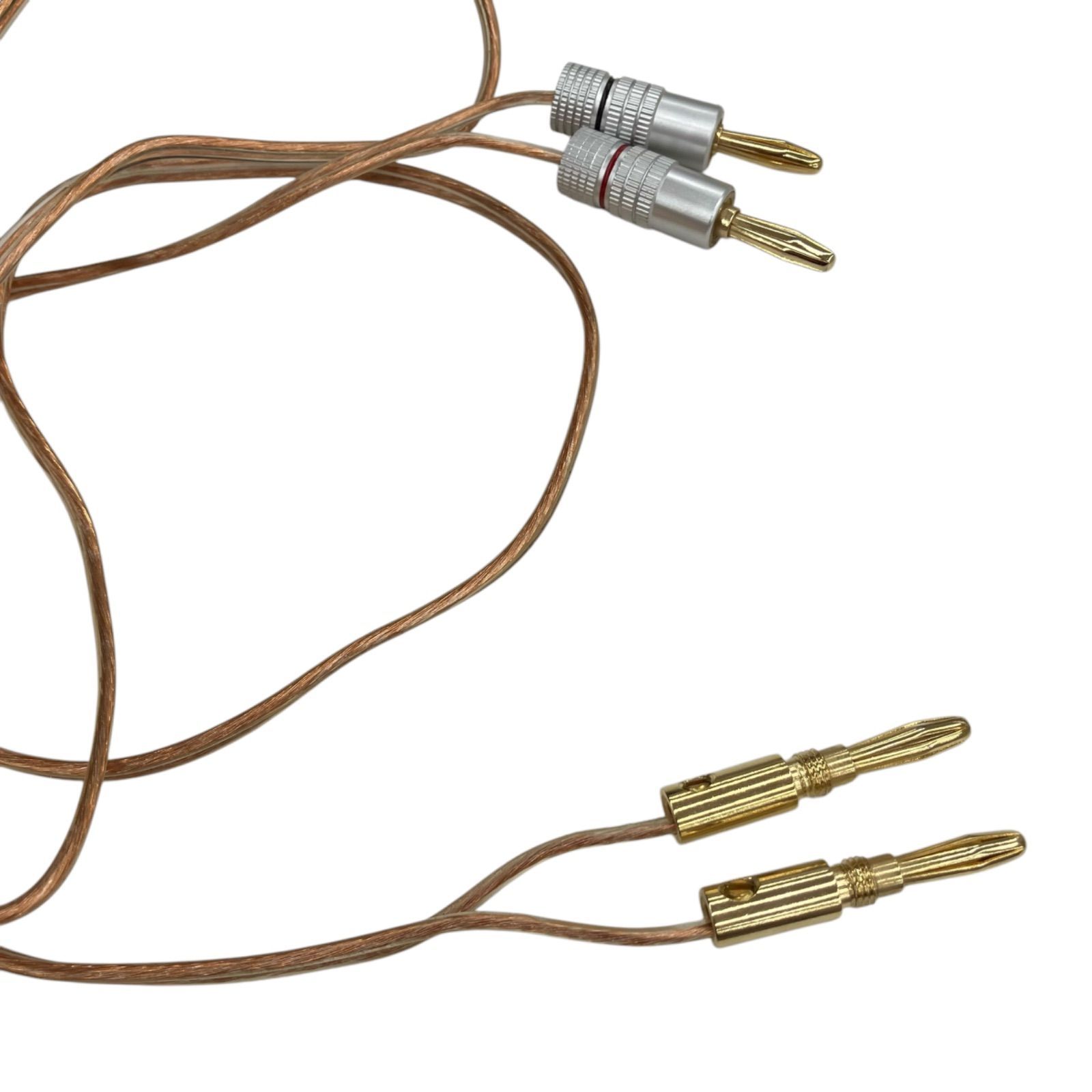 186000 現状品 FOSTEX フォステクス スピーカー P800-E ブラウン