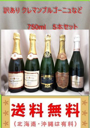 チリ格付クレマン ブルゴーニュなど 5本セット - ワイン