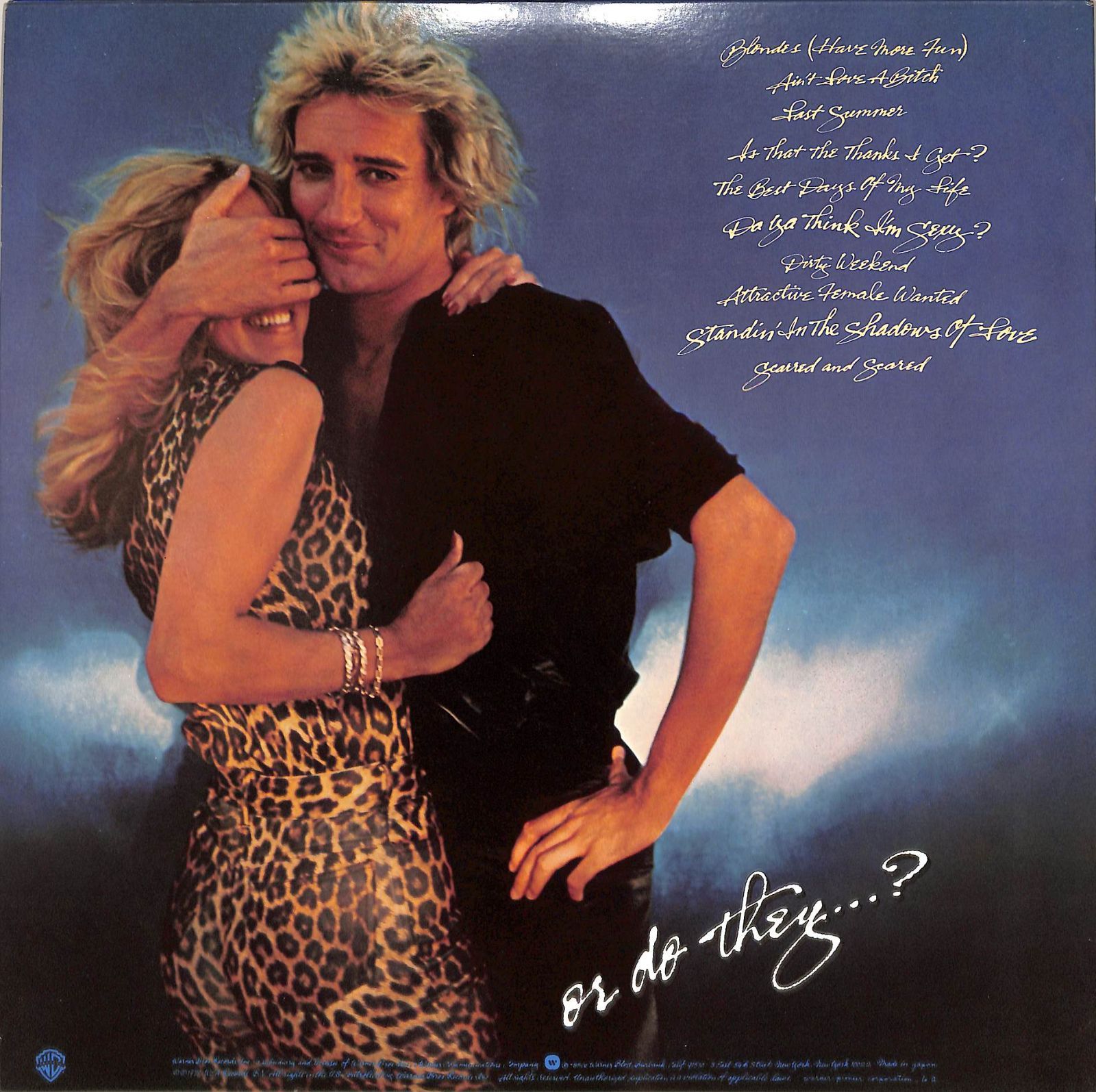 LP1枚 / ロッド・スチュワート(ROD STEWART) / スーパースターは