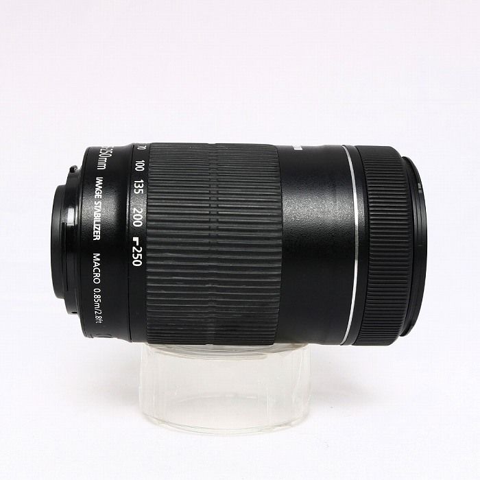  キヤノン Canon EF S 55 250 F 4 5 6 IS STM その他 カメラ