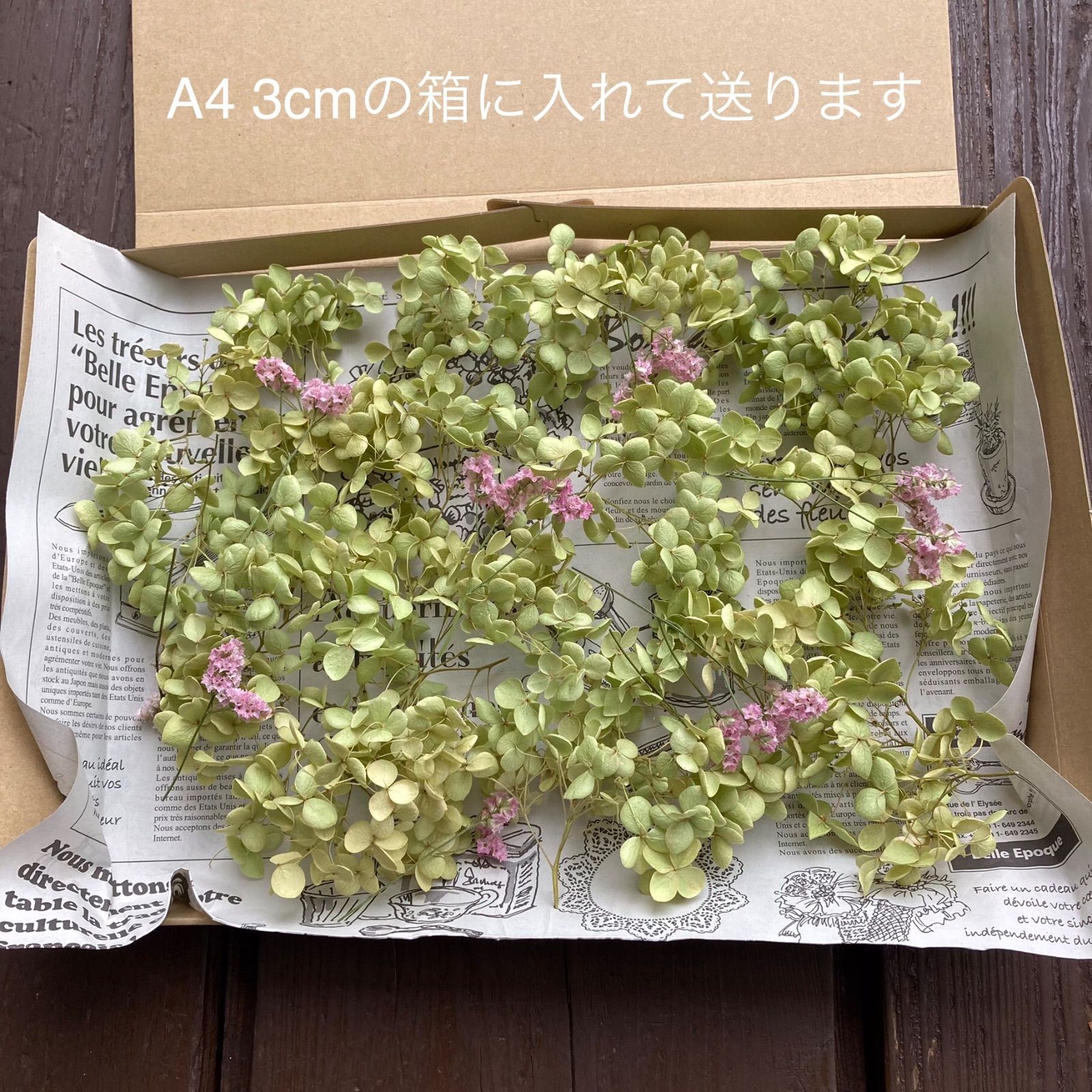 紫陽花アナベルとスターチス ドライフラワー小分け 詰め合わせ(小) A4箱 23年収穫 メルカリShops