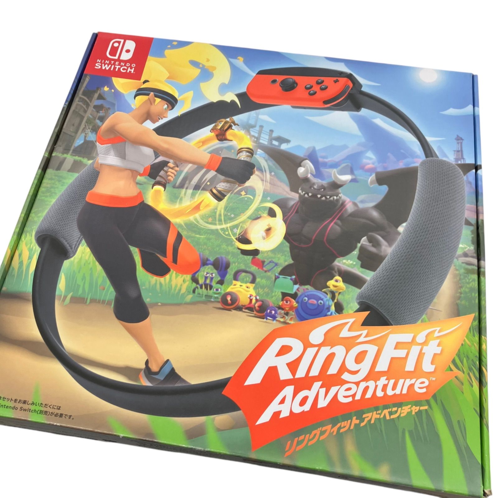 186000 現状品 任天堂 Nintendo Switch リングフィット