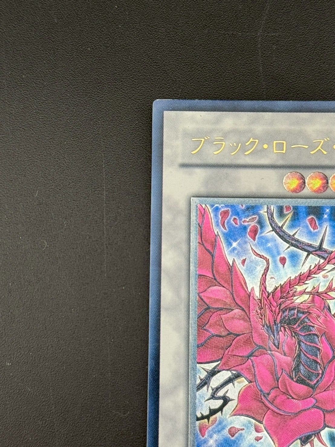 遊戯王 ブラックローズ・ドラゴン ホログラフィックレア CSOC-JP039 遊戯王 ホログラフィックレア ブラック・ローズ・ドラゴン CSOC