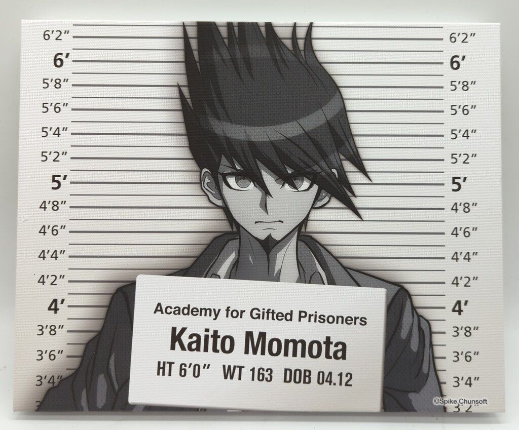 ダンガンロンパ アニメイト オンラインくじ A賞 キャンバス