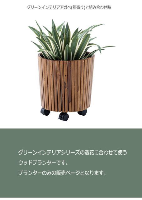 GREEN INTERIOR グリーンインテリア ウッドプランター Sサイズ
