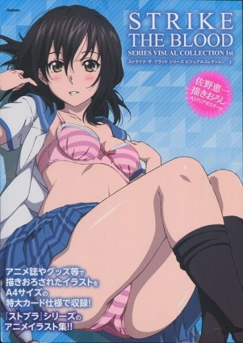 学研プラス 上)ストライク・ザ・ブラッド シリーズ ビジュアルコレクション *未開封