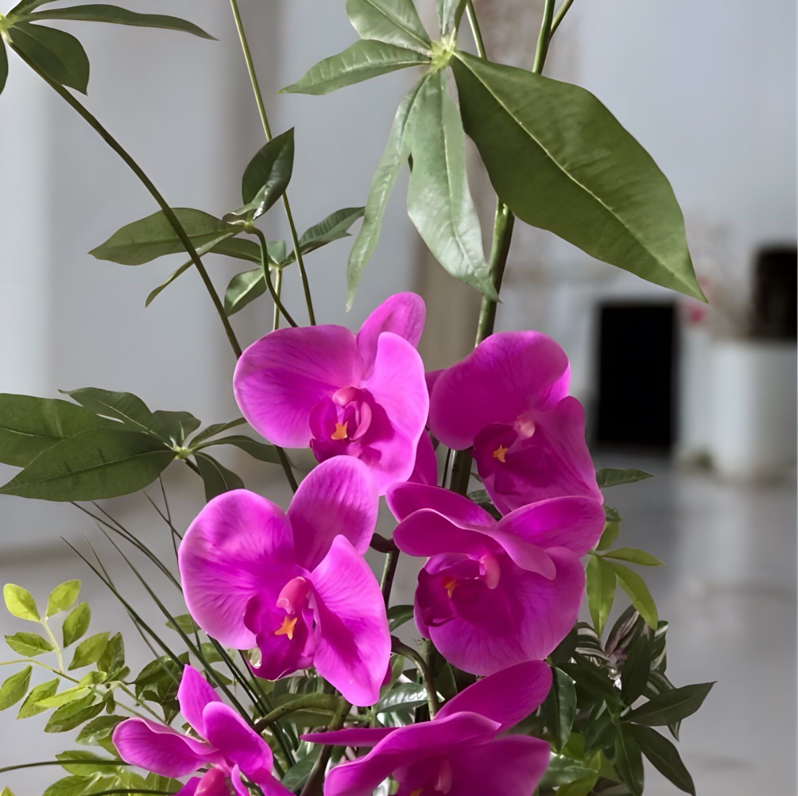 光触媒 人工観葉植物 ウォールグリーン フェイクグリーン リアル胡蝶蘭