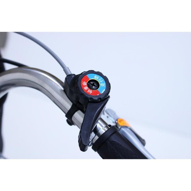 ＳＷＩＮＧ ＣＨＡＲＬＩＥ２三輪自転車Ｇ