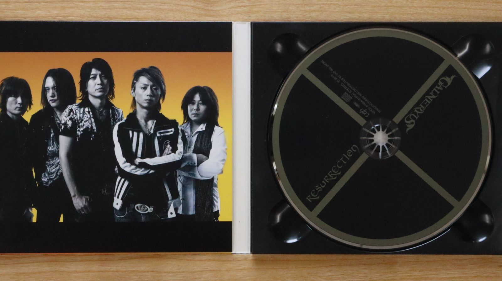 国内盤CD☆ガルネリウス/GALNERYUS□ RESURRECTION - GALNERYUS
