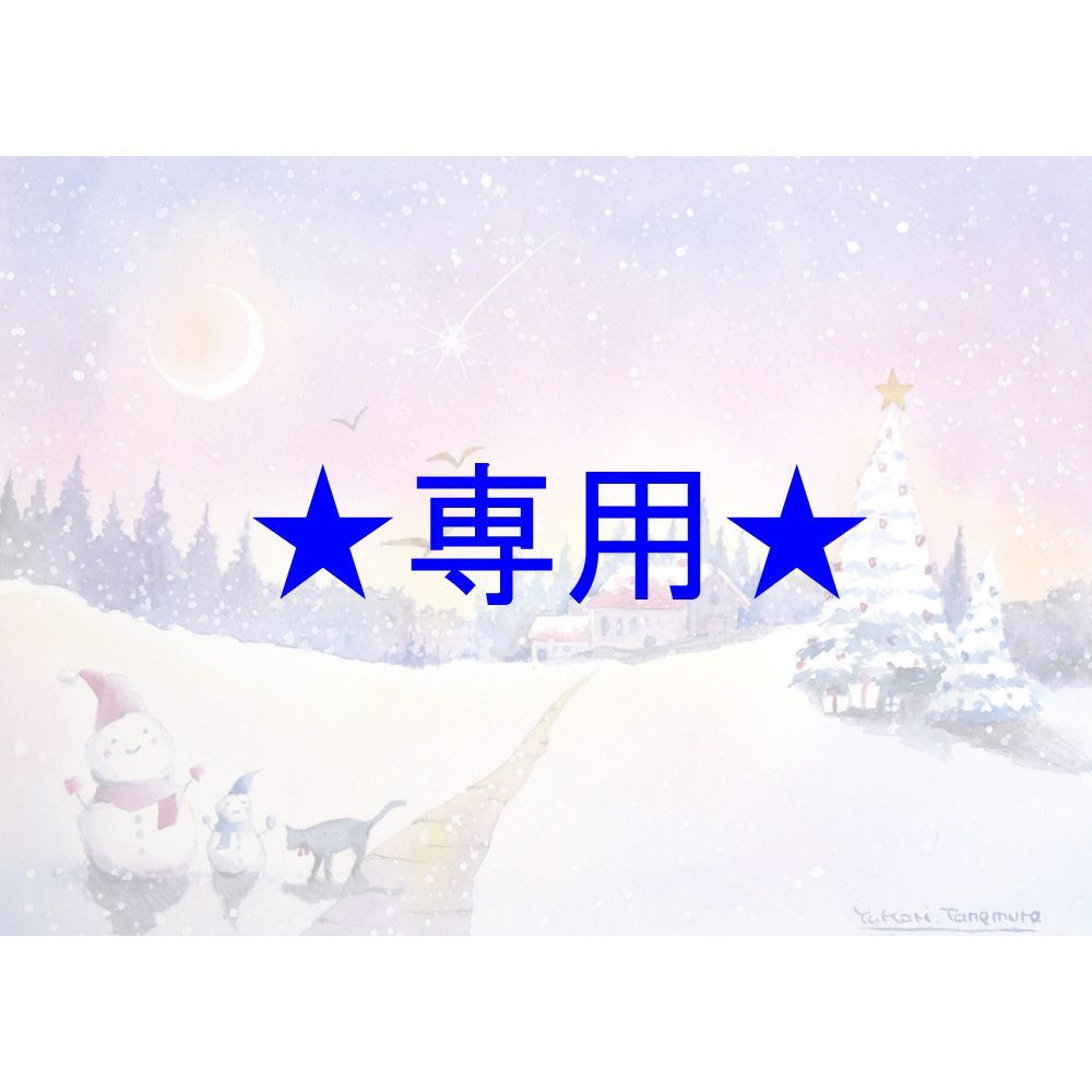 さくらさま 原画 白い季節とともに SMサイズ 水彩画 2733