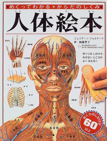 人体絵本: めくってわかる・からだのしくみ／ジュリアーノ フォルナーリ