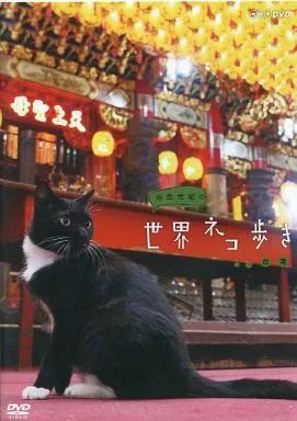 (未使用･未開封品)　岩合光昭の世界ネコ歩き 台湾　ブルーレイ v1yptgt 中古】その他DVD 岩合光昭の世界ネコ歩き 台湾 - メルカリ