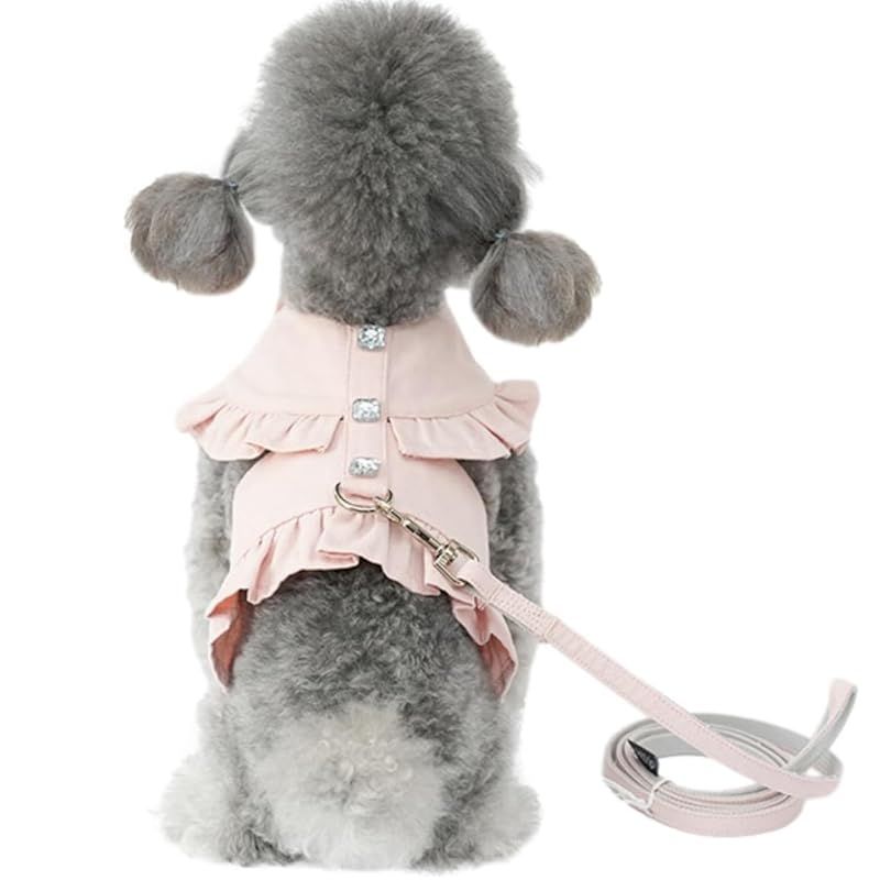 特急車両 運転台 表示灯カバー 愛称灯表示あり