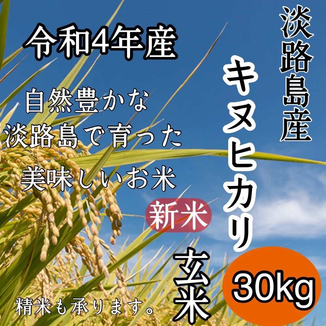 淡路島産米きぬひかり玄米10キロ新米