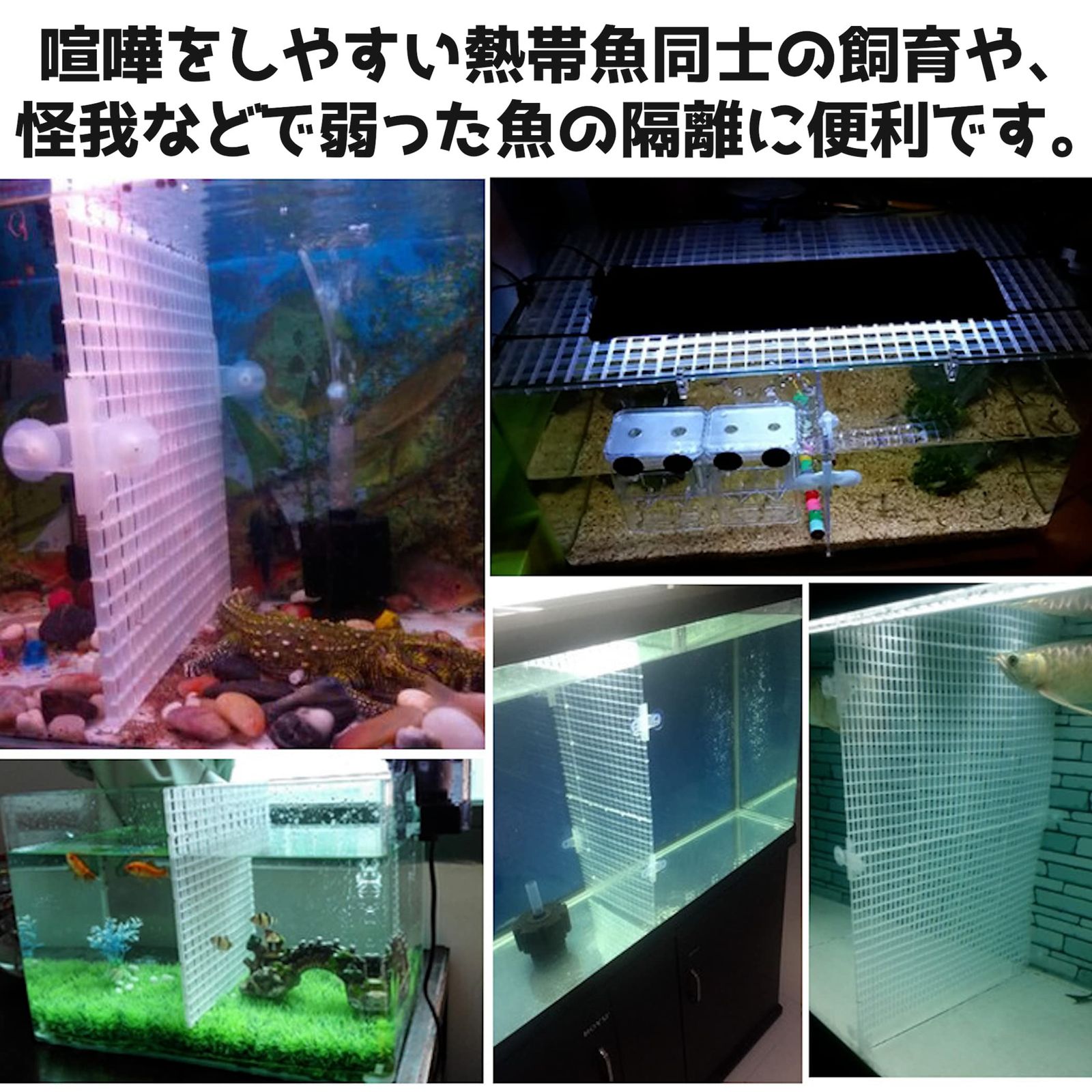 Lezalic 水槽 仕切り 板 セパレーター フィルター 隔離板 熱帯魚 分割