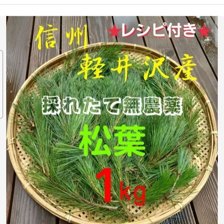 採れたて新鮮♪︎軽井沢産 天然農薬不使用 赤松 松葉 1kg 松の