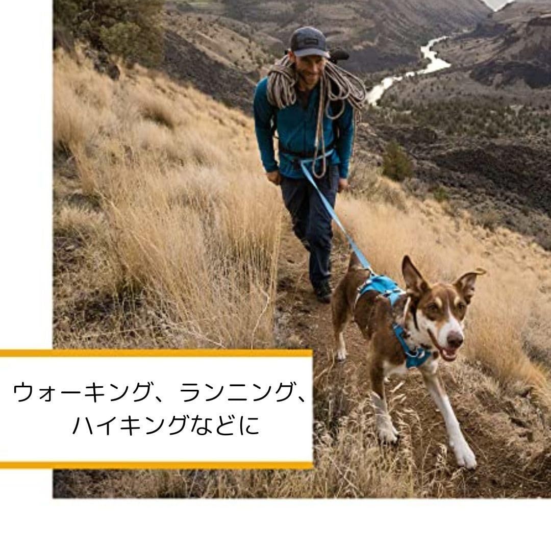 商品
