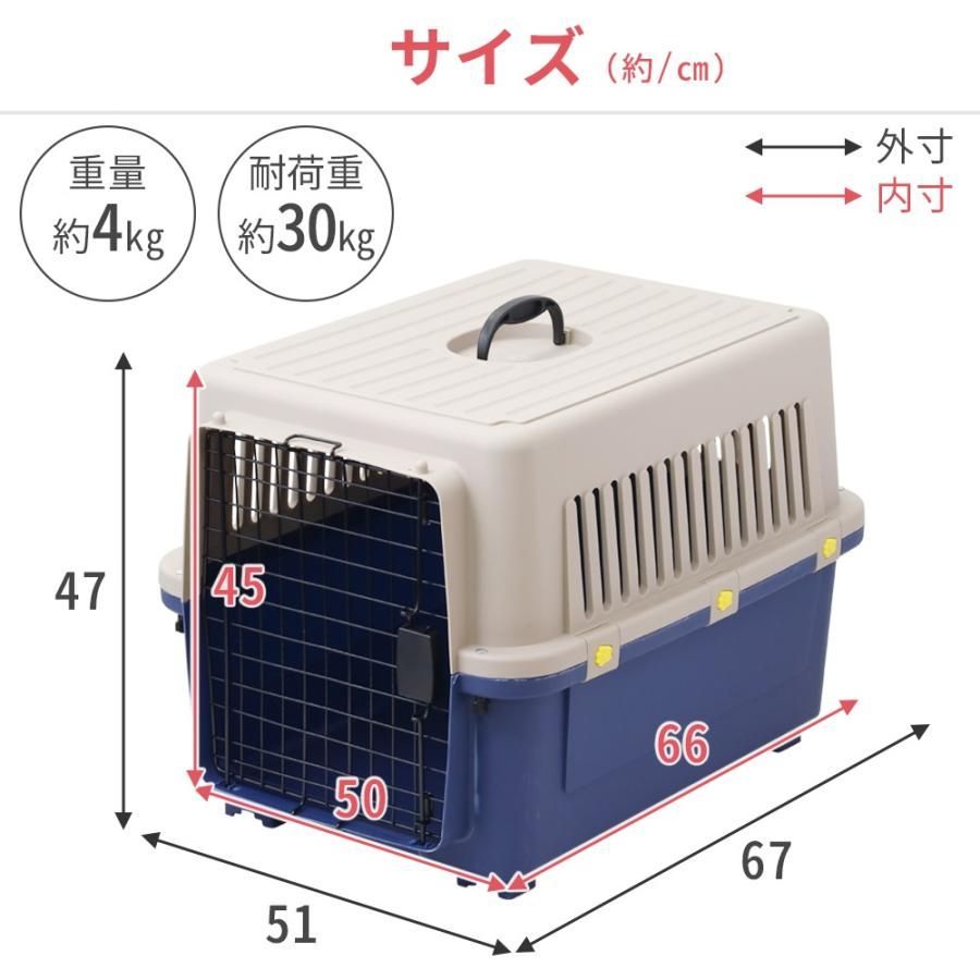ハード 猫