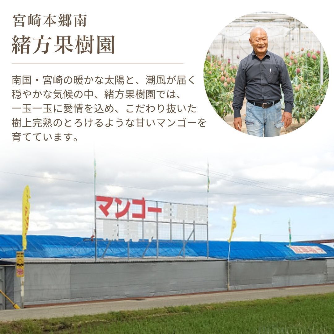 3L 2個