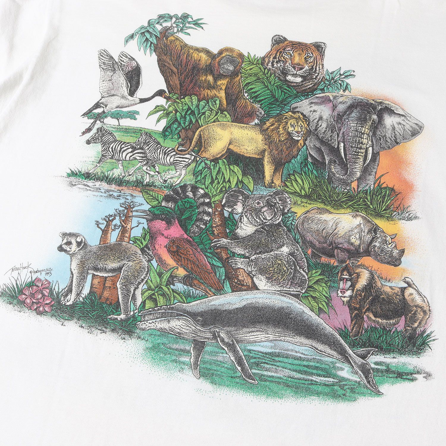 90s - 00s ヴィンテージ古着 Tシャツ サイズ:XL / 90s WWF アニマル 