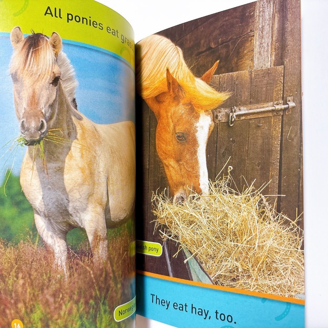 新品 National Geographic Kids Pre＆1 音源付き Amazon | Animal