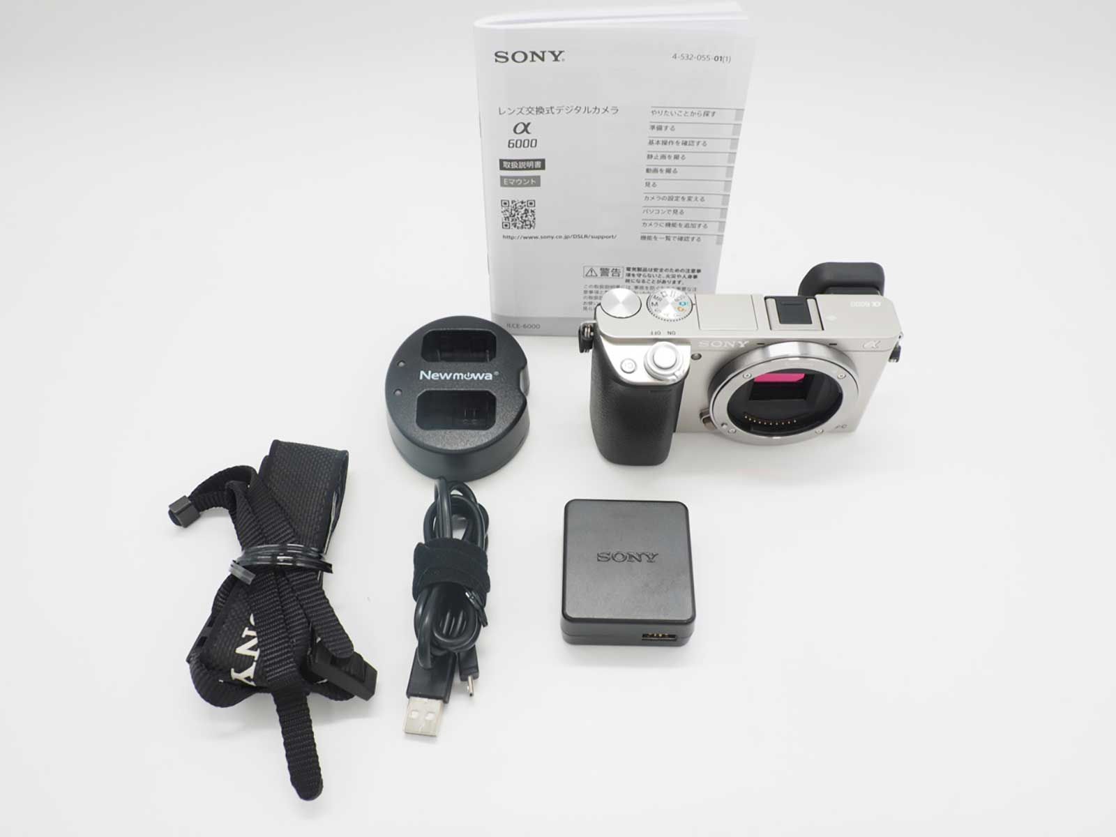 ソニー Sony a6000 ILCE-6000 Digital Camera Silver Body