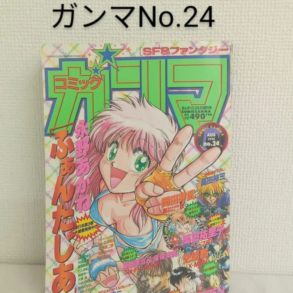 コミックガンマ1995年No.24.No.25.No.26/永野あかね/岡田芽武 コミックガンマ1995年No.24.No.25.No.26/永野あかね/岡田芽武