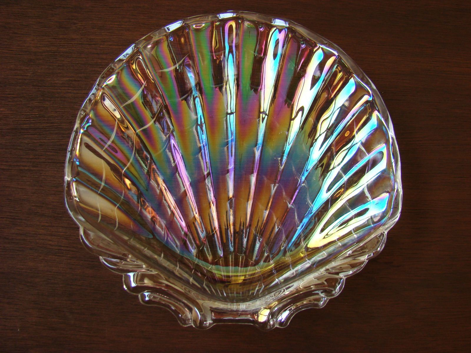 グランドセール ビンテージ 貝殻 コーラル シェル ガラス皿