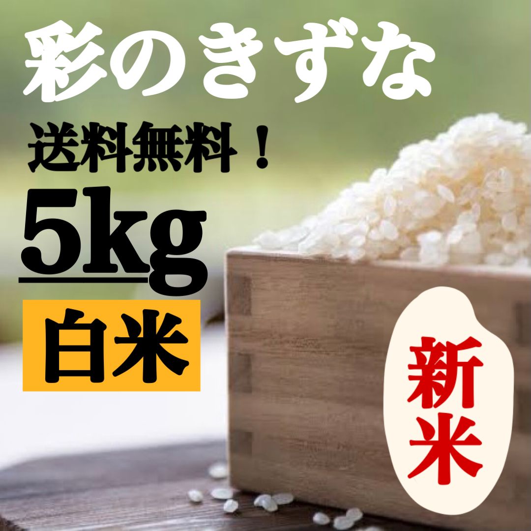 白米　5kg 彩のきずな　新米　埼玉県産　令和5年産　送料無料　米　5キロ