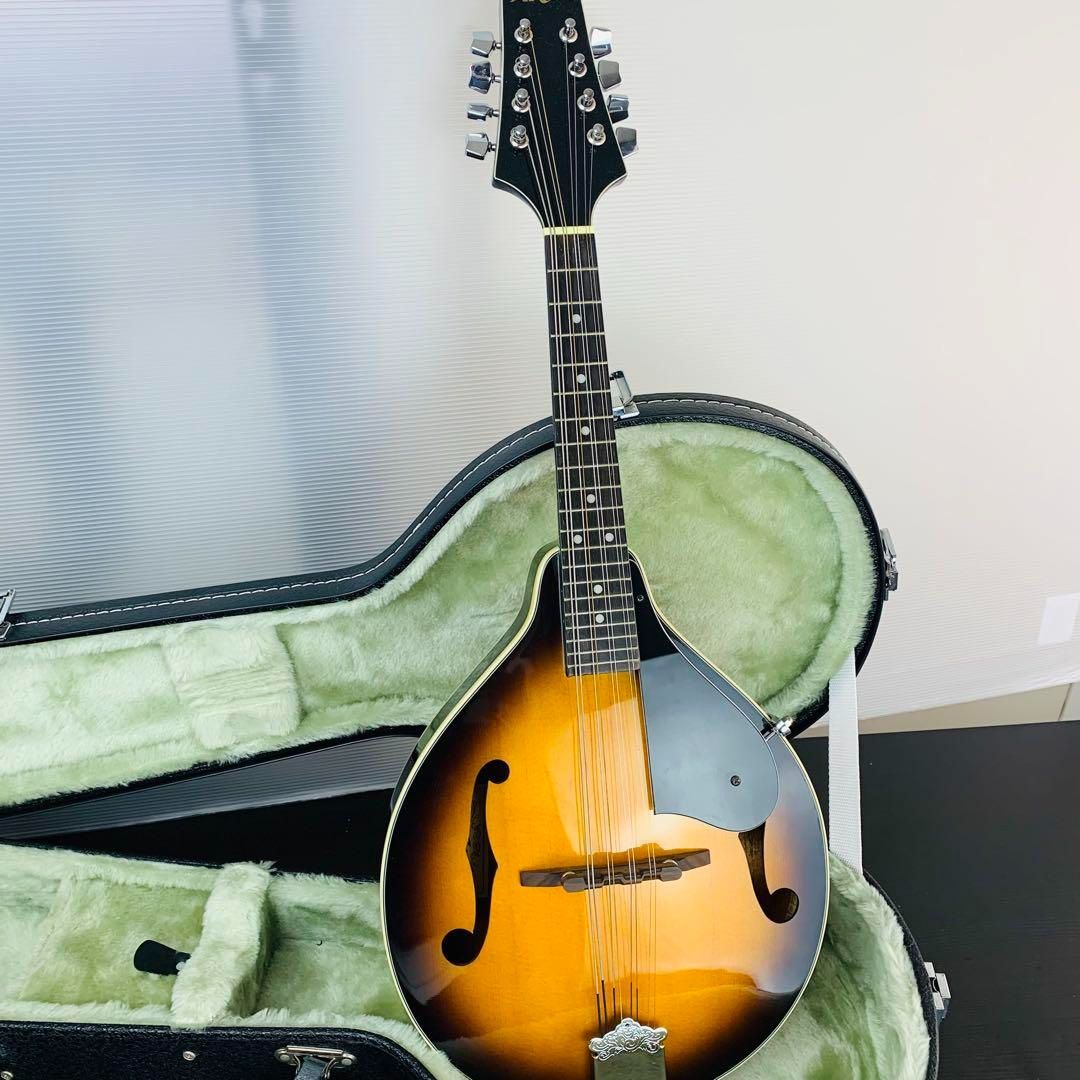 美品 ARIA アリア マンドリン モデル AM-200 BS Aria アリア