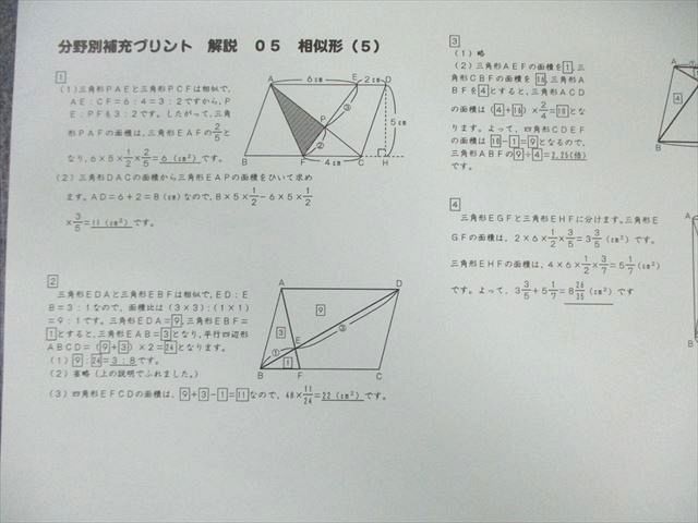 【★2024受験】【未使用あり】SAPIX算数 図形特訓 分野別プリント サピックス 分野別補充プリント 算数 図形プリント 最新版