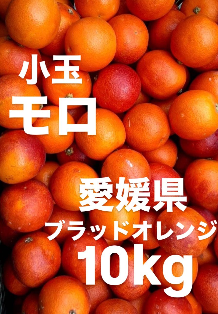 愛媛県産 モロ ブラッドオレンジ 柑橘 10kg