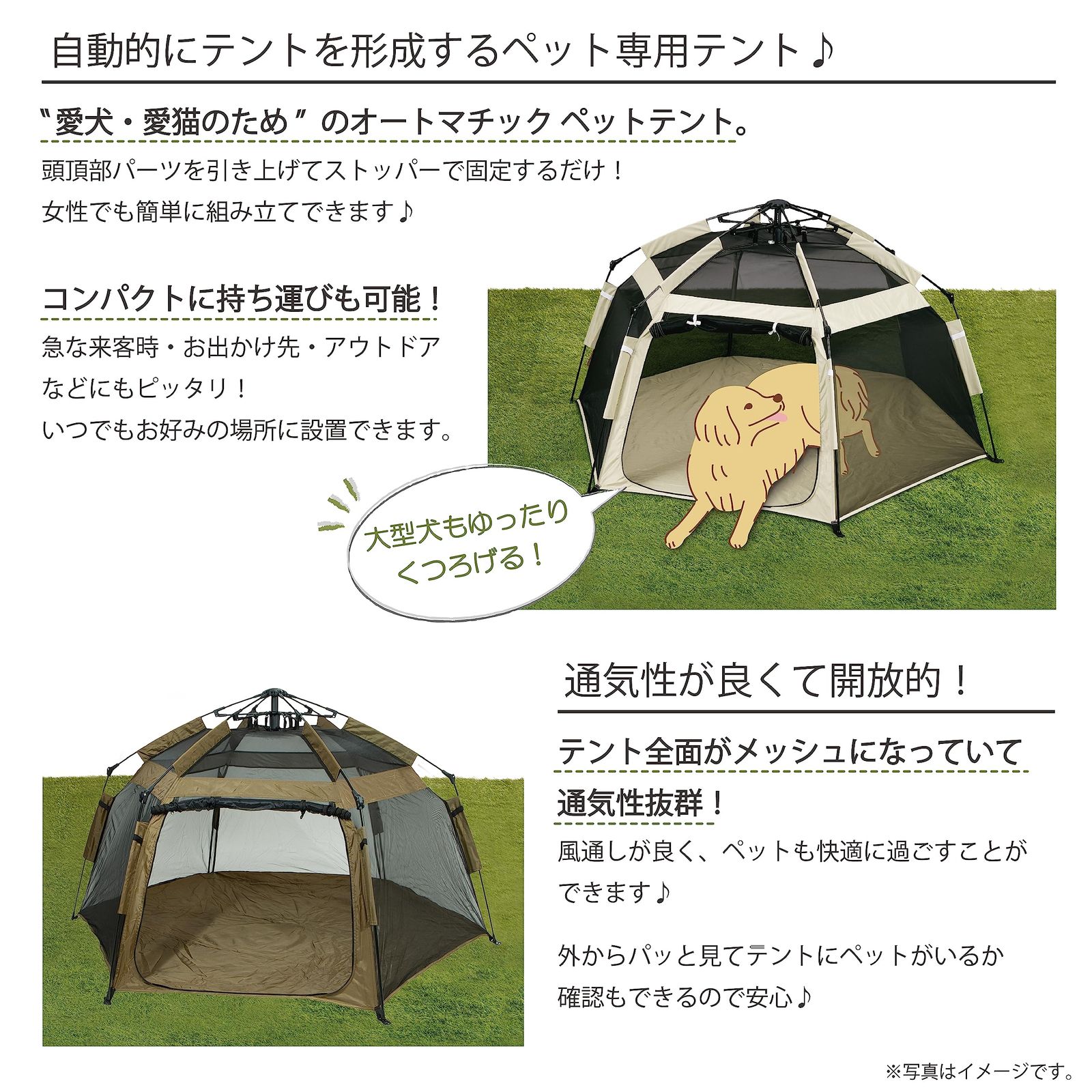スツール 犬