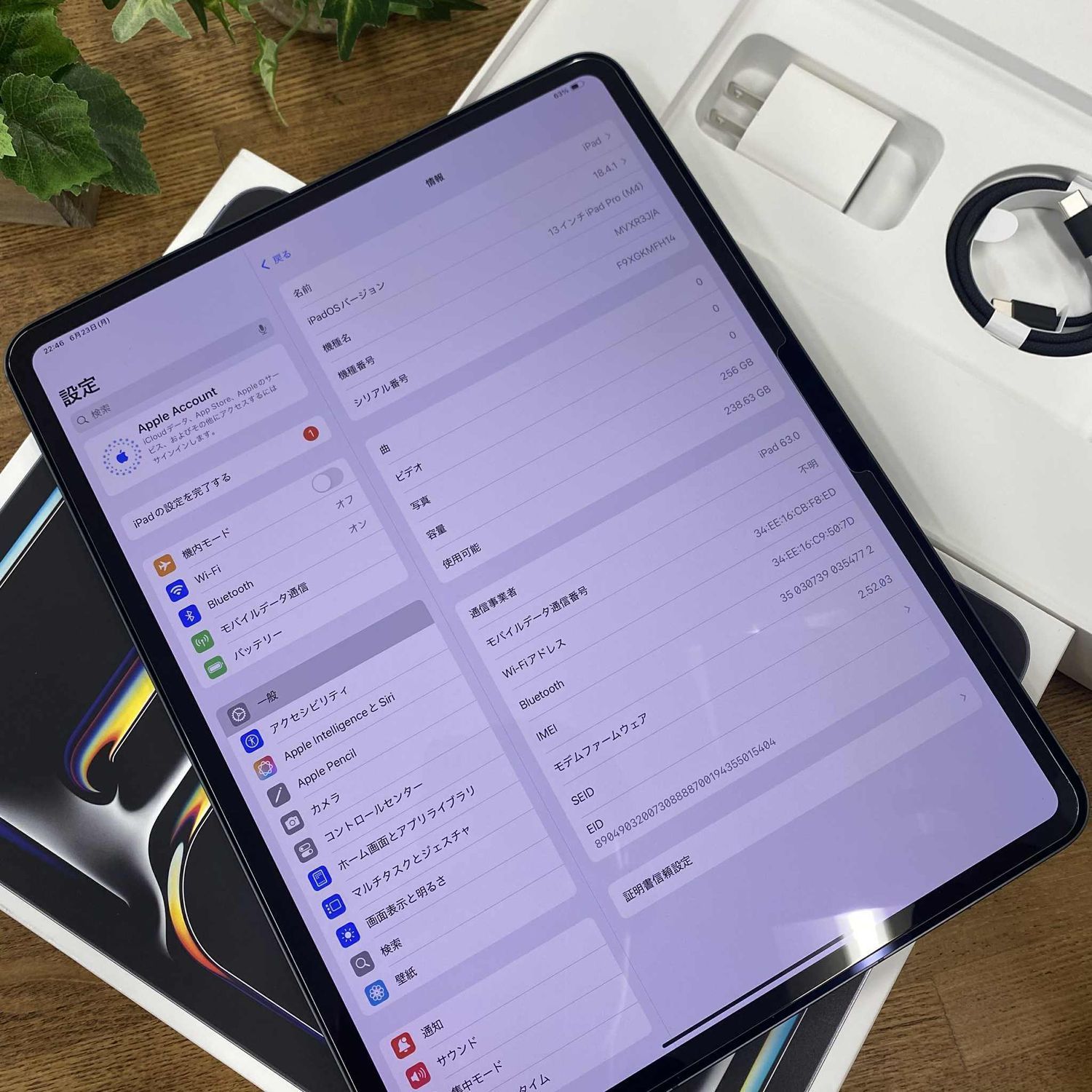 iPad Pro M4 チップ 13インチ 256GB スペースブラック セルラー