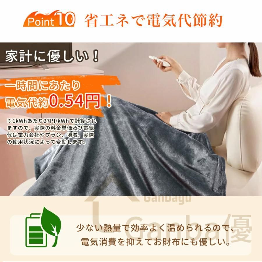電気敷き毛布 冬物