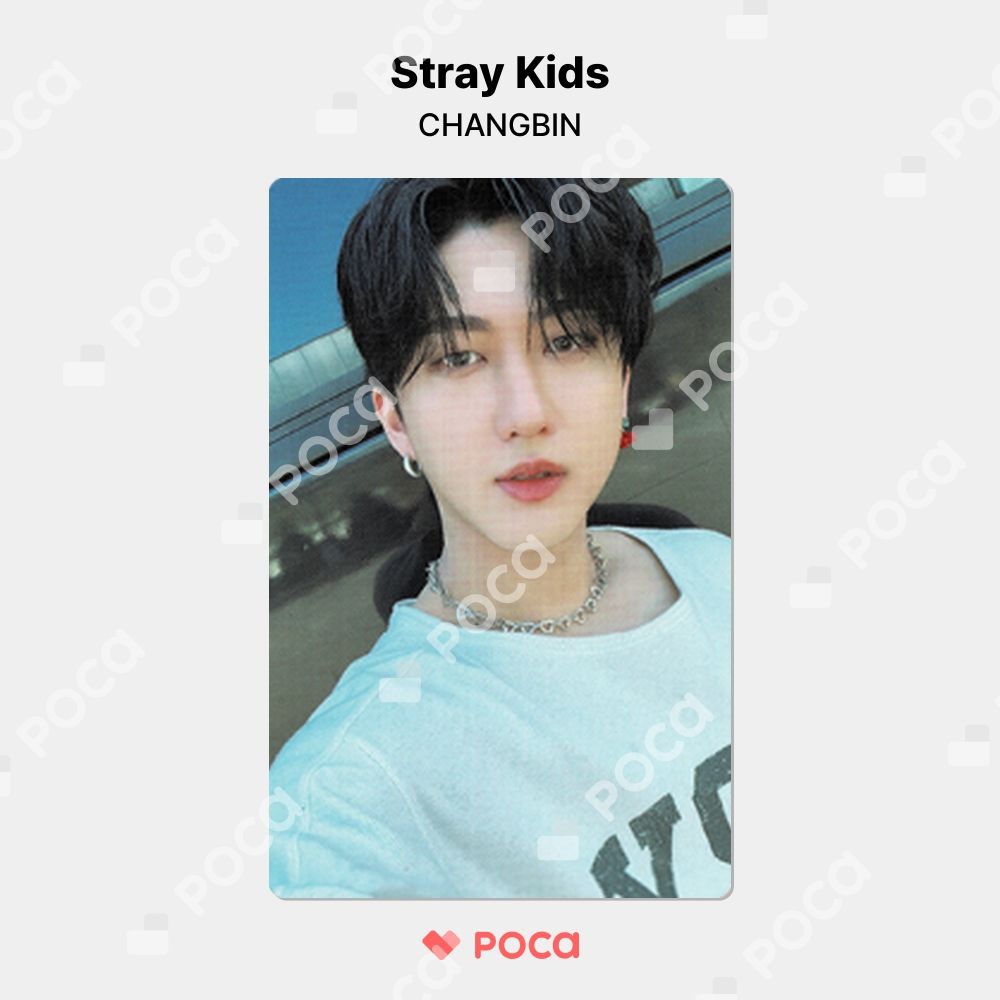 StrayKids MAXIDENT 限定 チャンビン スキズ トレカ straykids チャンビン スキズ トレカ MAXIDENT SOUNDWAVE
