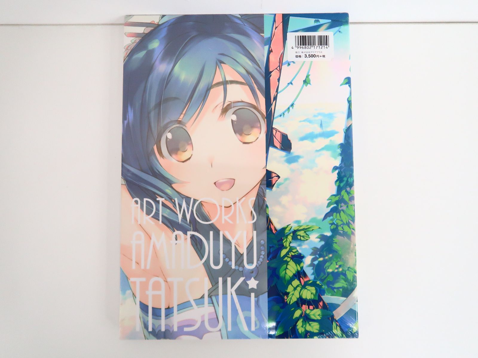 AMADUYU TATSUKI ART WORKS 甘露樹画集 個人画集 第2弾
