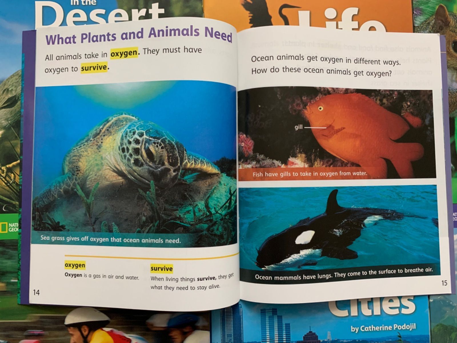National Geographic ScienceG2絵本36冊 National Geographic ScienceG2絵本36冊-値段を公式サイト