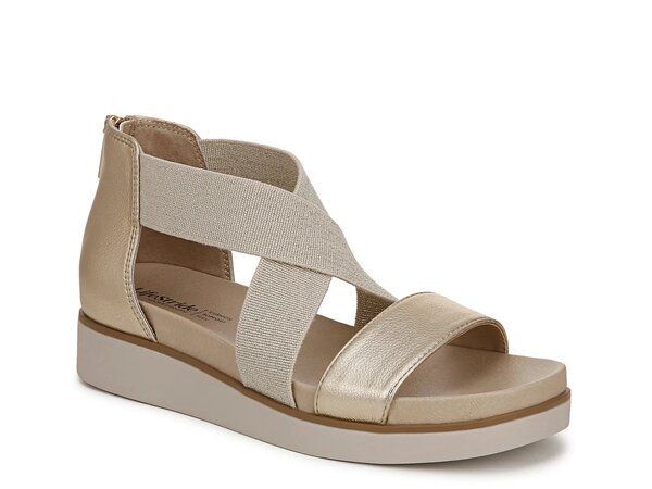 T759 茶碗 『乾山 菊間垣』『沖野華舟』 共箱 抹茶碗 茶道具 2024