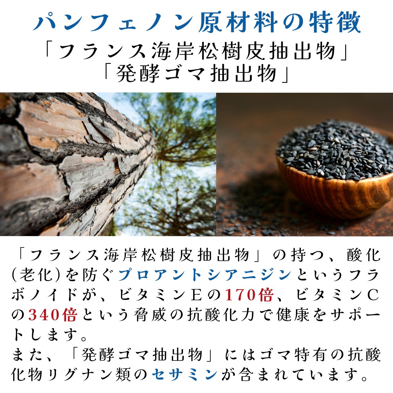 気管虚脱