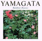 【中古-非常に良い】 虹の狩人 ヒロ・ヤマガタ画集