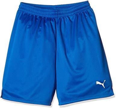 【新品・2営業日で発送】PUMA プーマ プーマ　ＬＩＧＡ　ゲームパンツ　コア　ジュニア　品番：７２９９７２　カラー：ＴＥＡＭ　ＲＯＹＡＬ－ＷＨ（０７）　サイ...