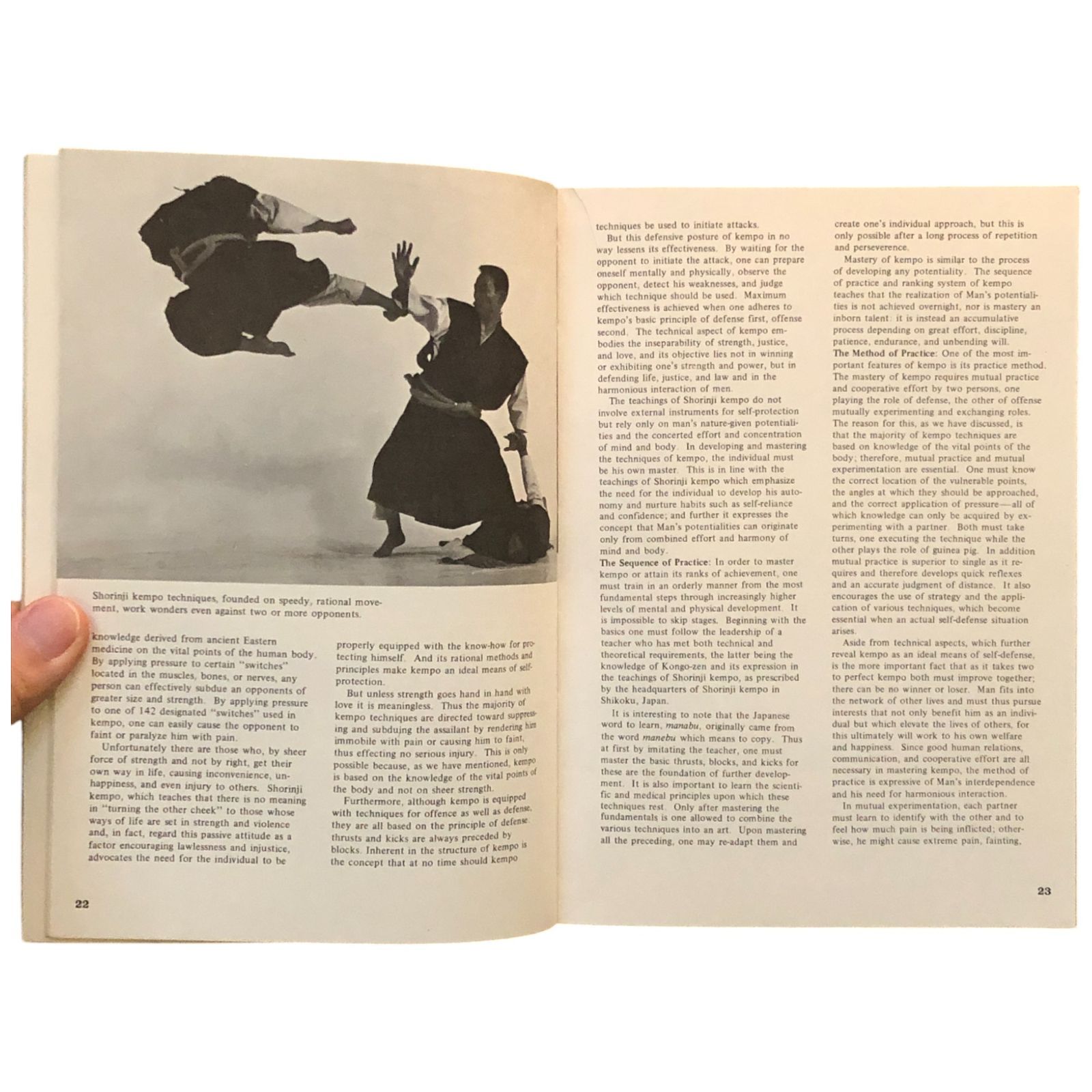 【国王の庭の赤い花】ペルシャ絨毯　シルク手織り　虹色の鳥　蝶の舞　エレガント 国王の庭の赤い花】ペルシャ絨毯 シルク手織り 虹色の鳥 蝶の