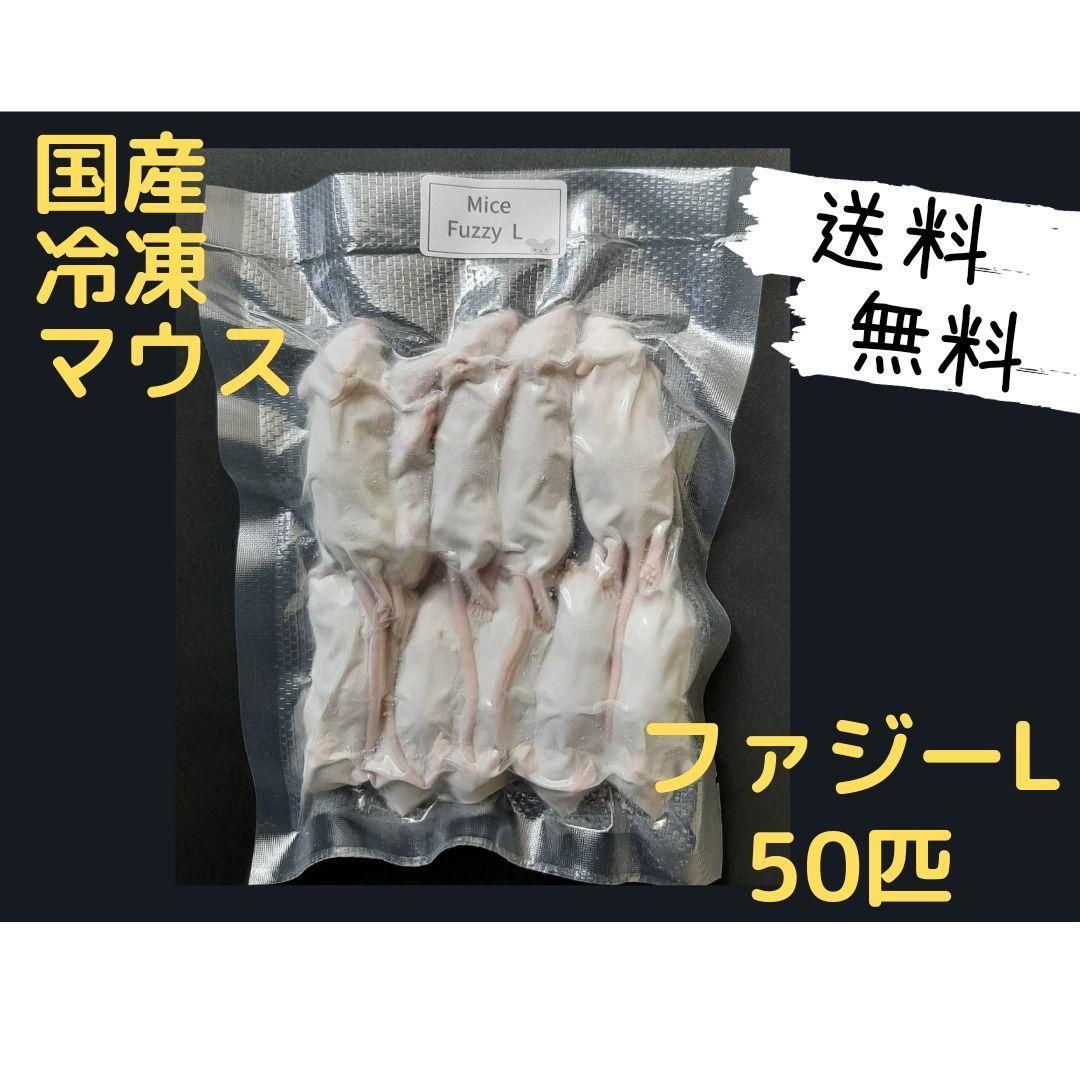 国産冷凍マウス ファジー 50匹 (一部地域発送不可) 国産冷凍マウス ファジー 50匹 (送料無料一部地域発送不可)オ