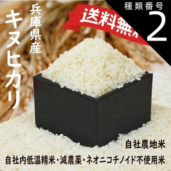 まゆ お米　H29　愛媛県産キヌヒカリ　白米　100㎏ 楽天市場】新米 米 白米 玄米 20kg 送料無料 キヌヒカリ 熊本県