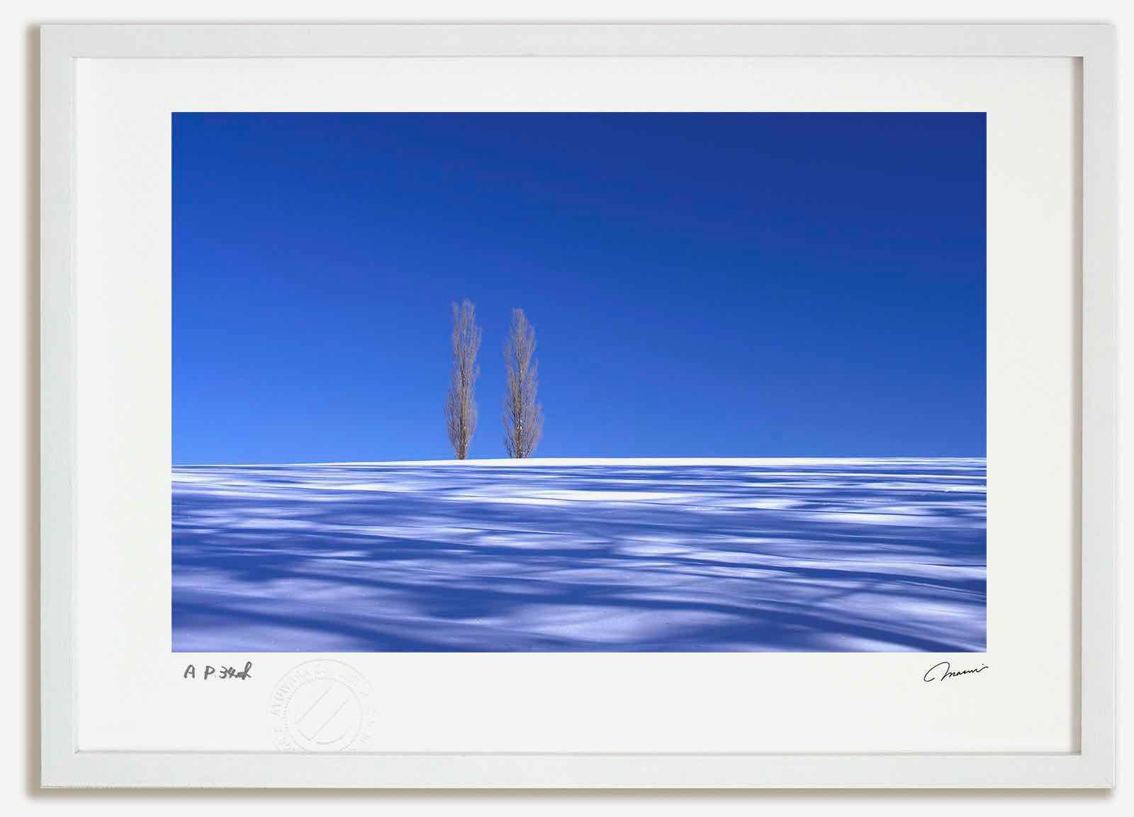 アートフォト 絵画 ポプラと蒼い影4 高橋真澄 インテリア 額入り 額装込 風景画 油絵 ポスター アート アートパネル リビング 玄関 プレゼント モダン アートフレーム 飾る Mサイズ おしゃれ 壁掛け 絵