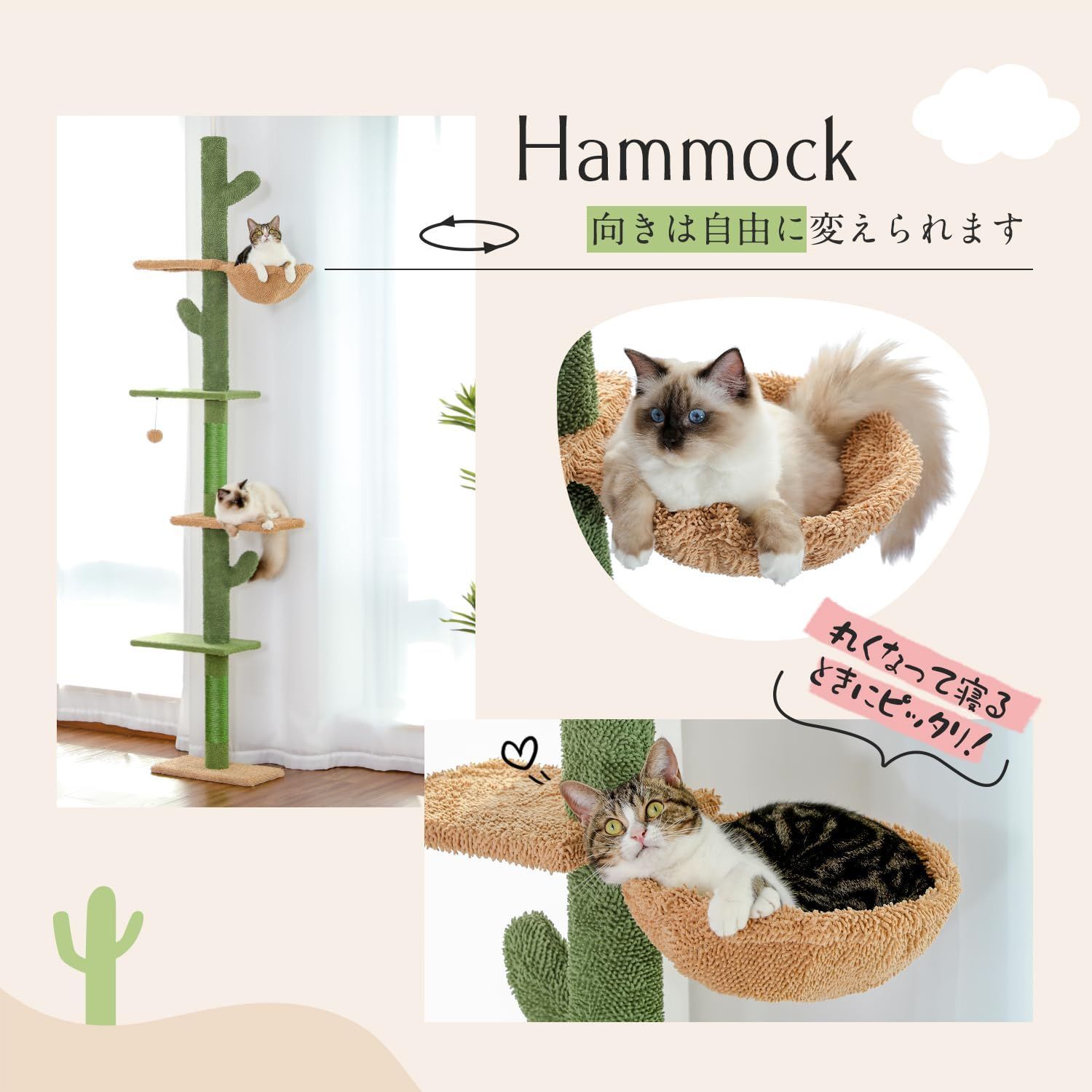 ぺテぺラ